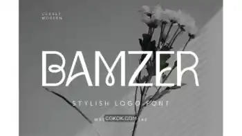 دانلود فونت انگلیسی لوگو Bamzer Stylish Logo Font
