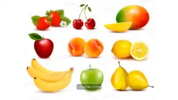 دانلود وکتور میوه 3