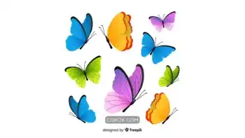 دانلود وکتور پروانه 2