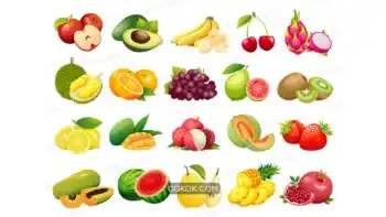 دانلود وکتور میوه 11