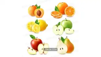 دانلود وکتور میوه 7