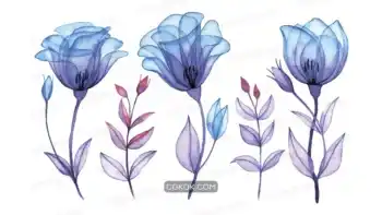 دانلود وکتور گل رز آبرنگی