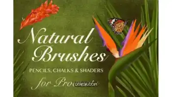 دانلود 20 براش پروکریت طبیعی Natural Brushes for Procreate